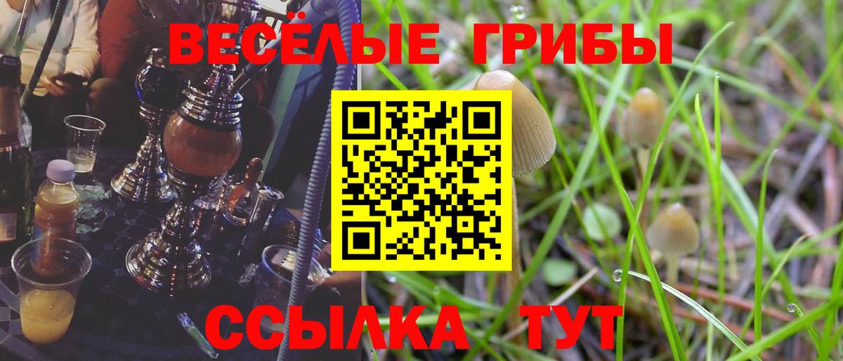 Дюртюли  Галлюциногенные грибы Cubensis  Вход с VPN 